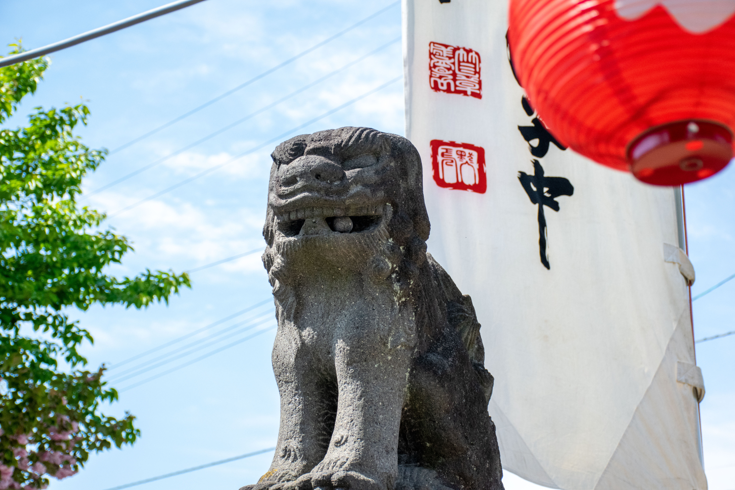 ImageID:25fA00xu5o