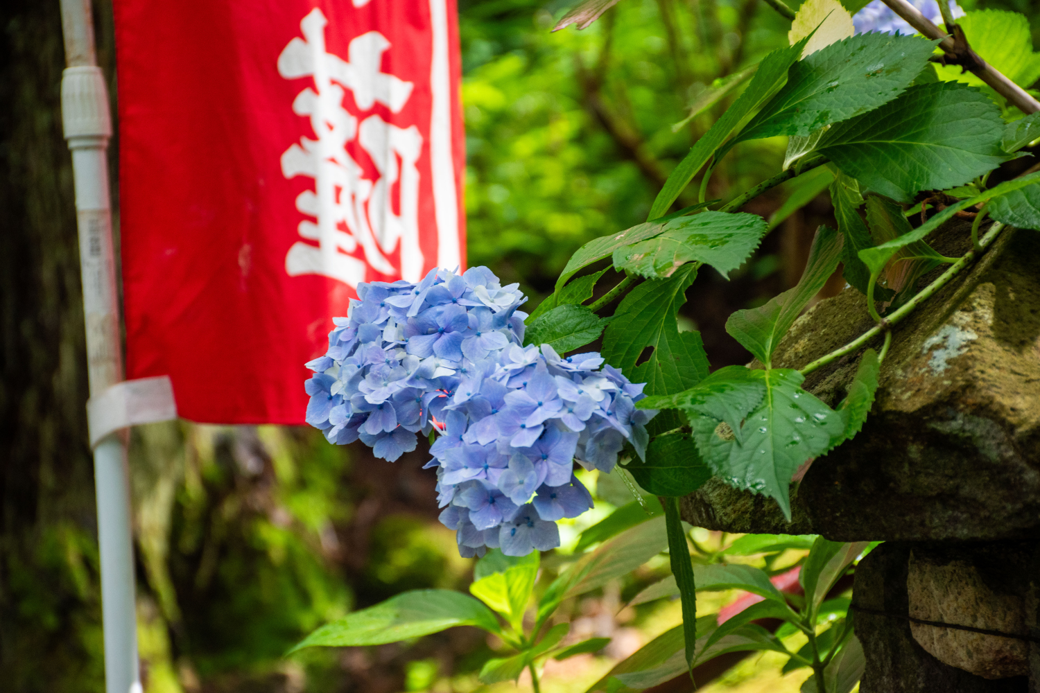 ImageID:25fA04xw3M